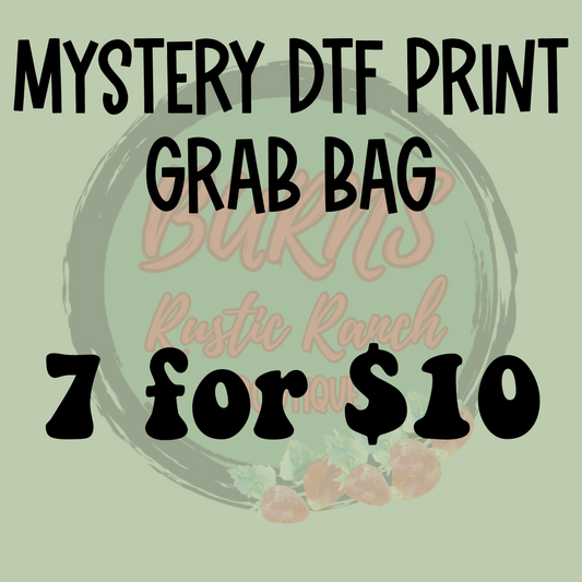 Mystery DTF Print Grab Bag